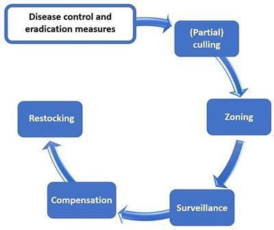 Evidence-Based African Swine Fever Policies: Do We Address Virus and Host Adequately?